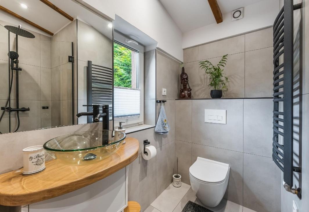 Apartament Pod Bukowym Lasem Meszna Ngoại thất bức ảnh